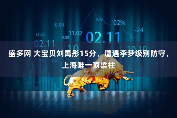 盛多网 大宝贝刘禹彤15分，遭遇李梦级别防守，上海唯一顶梁柱