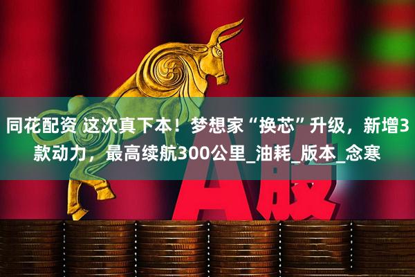 同花配资 这次真下本！梦想家“换芯”升级，新增3款动力，最高续航300公里_油耗_版本_念寒